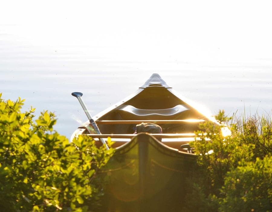 Luxus-Wüstencamps (Glamping) vs. Einfache Camps