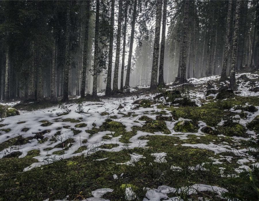 الإكرامية في المغرب: دليل عملي